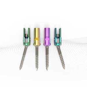 Augmentable Polyaxial Pedicle Screw, Dual Thread