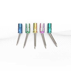 Polyaxial Pedicle Screw