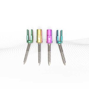 Polyaxial Pedicle Screw, Dual Thread
